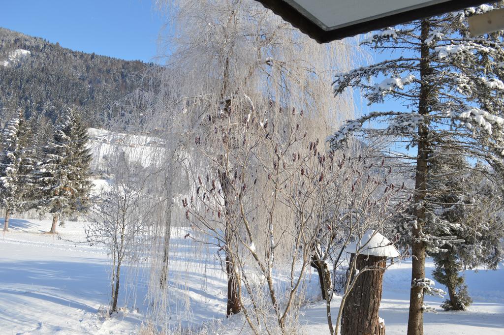 Chalet Kammleitn Hermagor-Pressegger See Exterior foto